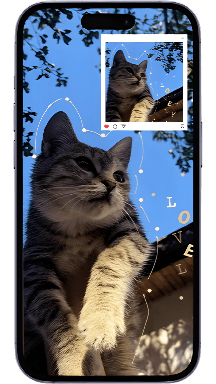 phone-mockup